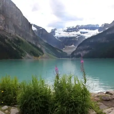 Lake Louise and flowers