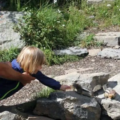 Cosa vedere nel Banff e Yoho National Parks