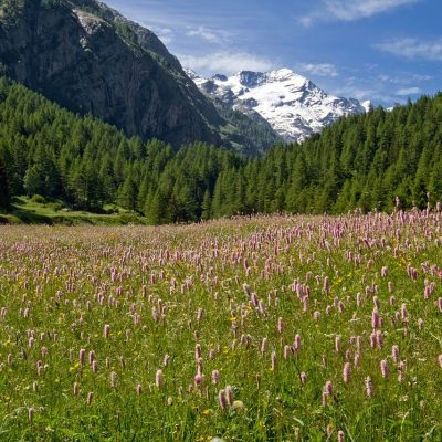 tre mete romantiche in Italia