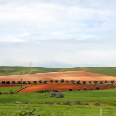 Paesaggio tra Fez e Rabat