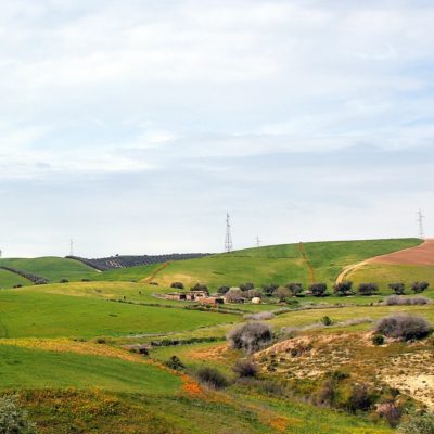 Paesaggio tra Fez e Rabat