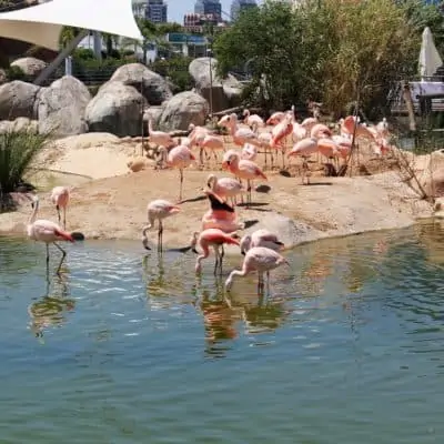 COSE DA FARE A VALENCIA CON BAMBINI