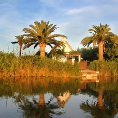 COSE DA FARE A VALENCIA CON BAMBINI