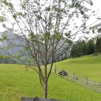 MIGLIORI AREE GIOCO IN QUOTA DELLA VAL BADIA