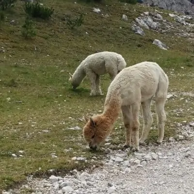 MIGLIORI AREE GIOCO IN QUOTA DELLA VAL BADIA