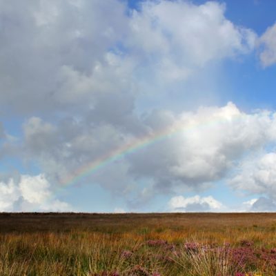 EXMOOR E DARTMOOR NATIONAL PARK
