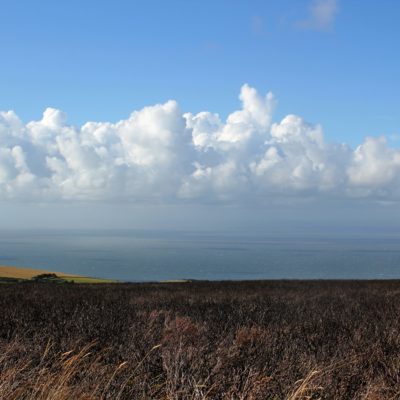 EXMOOR E DARTMOOR NATIONAL PARK