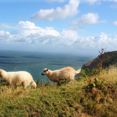 EXMOOR E DARTMOOR NATIONAL PARK