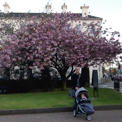 COSA VEDERE A BELFAST CON BAMBINI