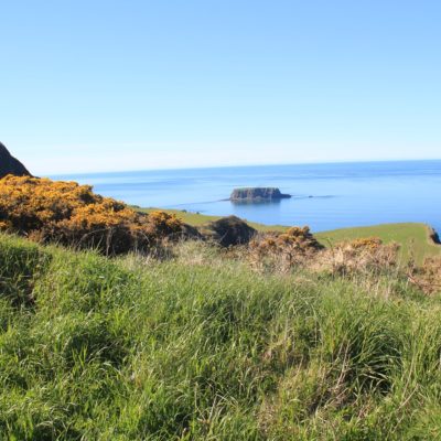 causeway coast