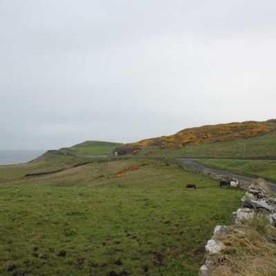 causeway coast