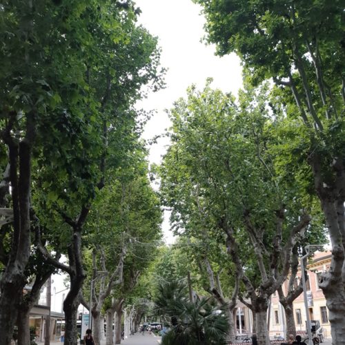 Dove dormire in Romagna con bambini