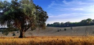 Borghi delle marche: Recanati slow con bambini