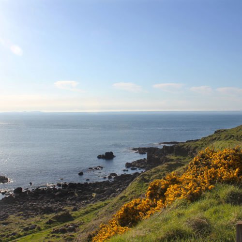 GIANT'S CAUSEWAY IRLANDA