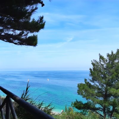 5 RISTORANTI DA NON PERDERE NEL CONERO