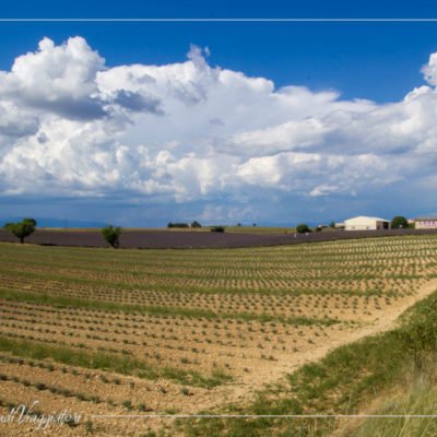 provenza cosa vedere