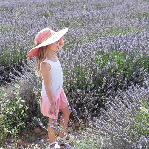 SCOPRIRE TUTTI I COLORI DI PROVENZA
