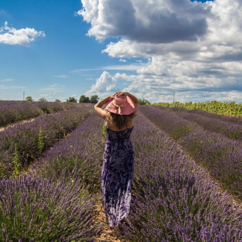 SCOPRIRE TUTTI I COLORI DI PROVENZA