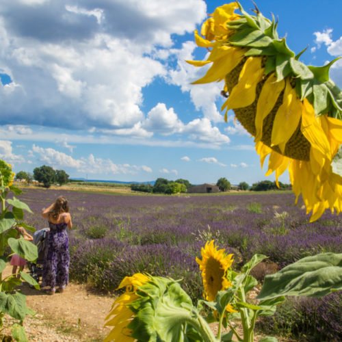 SCOPRIRE TUTTI I COLORI DI PROVENZA