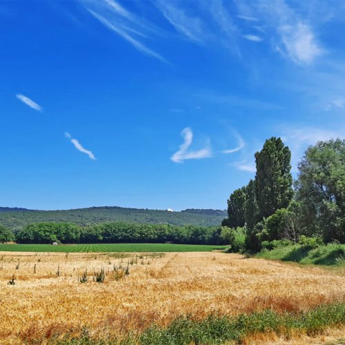 SCOPRIRE TUTTI I COLORI DI PROVENZA