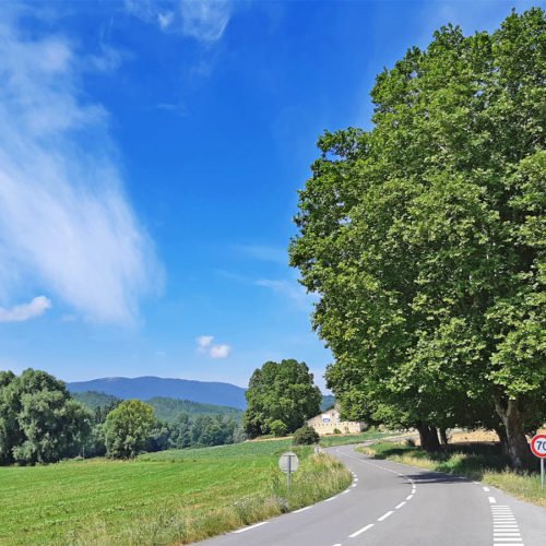 SCOPRIRE TUTTI I COLORI DI PROVENZA