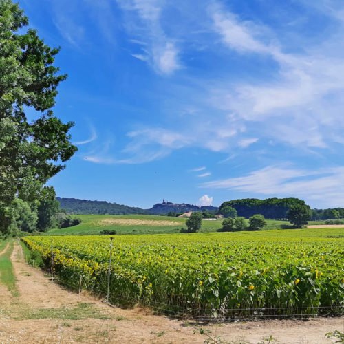 SCOPRIRE TUTTI I COLORI DI PROVENZA