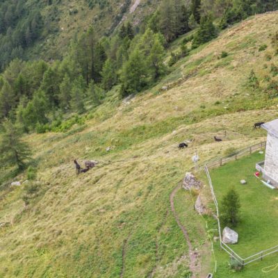 MIGLIORI FERMATE DEL TRENINO DEL BERNINA