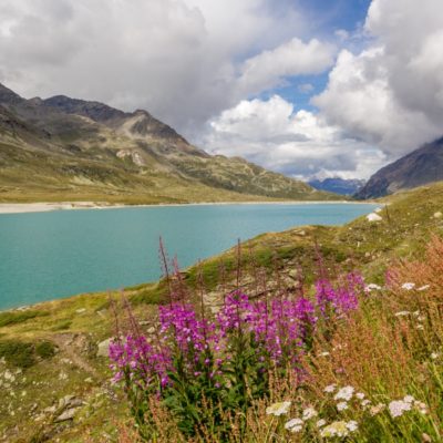 MIGLIORI FERMATE DEL TRENINO DEL BERNINA