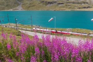 LE MIGLIORI FERMATE DEL TRENINO DEL BERNINA