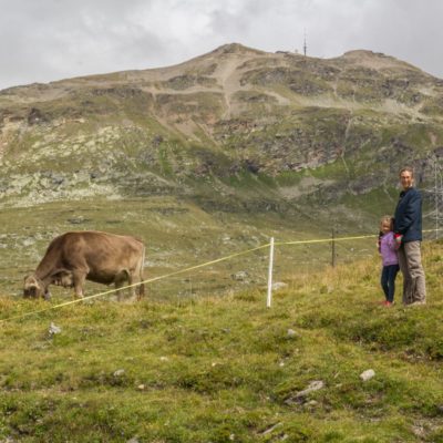 MIGLIORI FERMATE DEL TRENINO DEL BERNINA