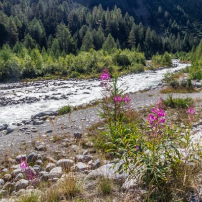 MIGLIORI FERMATE DEL TRENINO DEL BERNINA