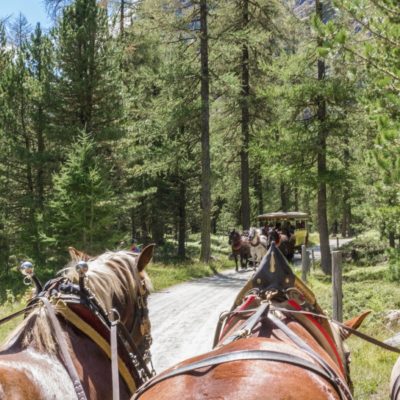 MIGLIORI FERMATE DEL TRENINO DEL BERNINA