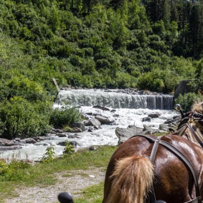 MIGLIORI FERMATE DEL TRENINO DEL BERNINA