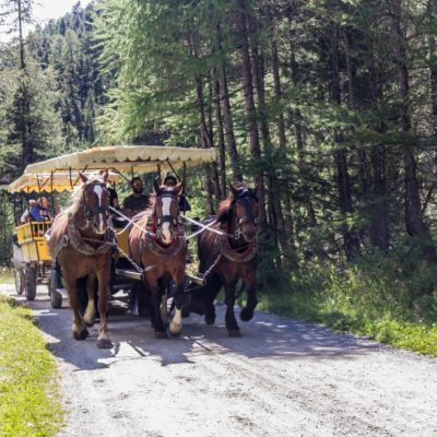 MIGLIORI FERMATE DEL TRENINO DEL BERNINA