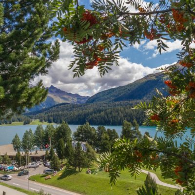 MIGLIORI FERMATE DEL TRENINO DEL BERNINA