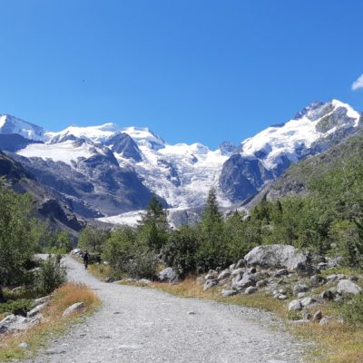 TRENINO ROSSO DEL BERNINA IN ESTATE