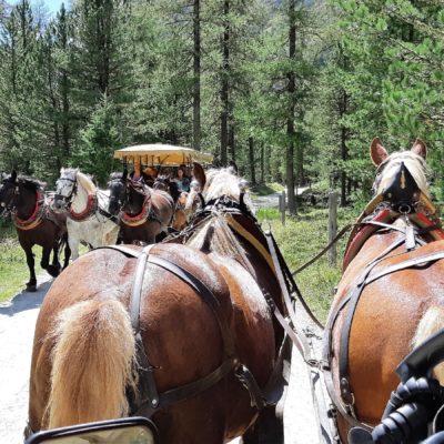 TRENINO ROSSO DEL BERNINA IN ESTATE