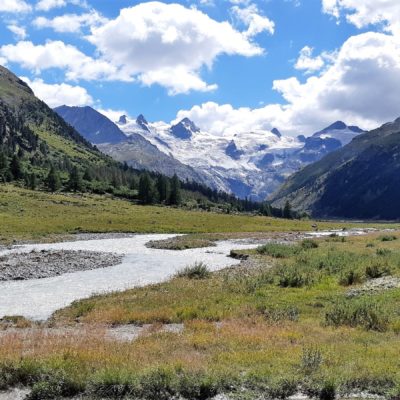 TRENINO ROSSO DEL BERNINA IN ESTATE