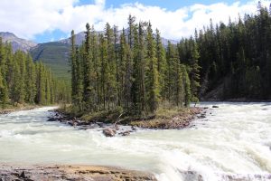 Tra il Jasper National Park e la mitica Icefield Parkway