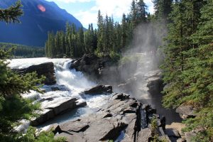 Tra il Jasper National Park e la mitica Icefield Parkway