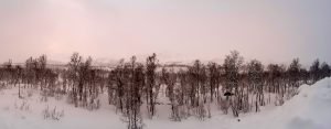LUOGHI PER VIAGGIATORI IN NORVEGIA DEL NORD: L'ISOLA DI SENJA
