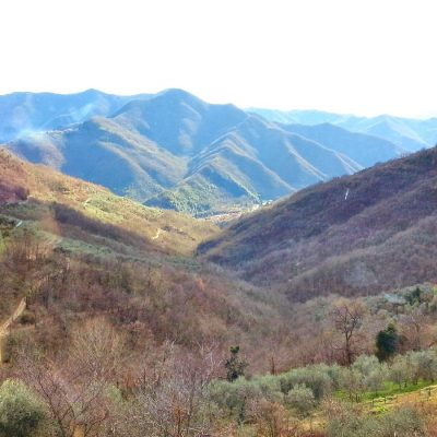 Eventi nella Riviera dei Fiori