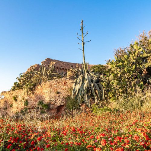 COSA VEDERE A CRETA OVEST