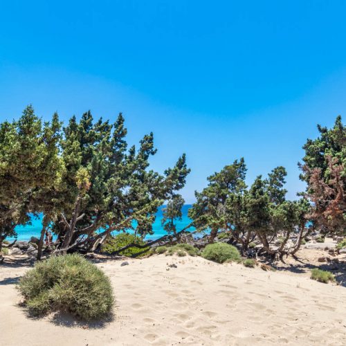 COSA VEDERE A CRETA OVEST