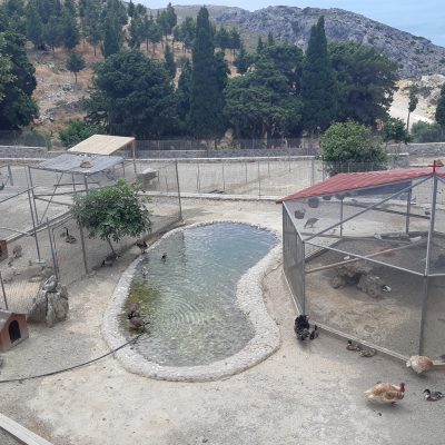 Cosa vedere a Creta Sud