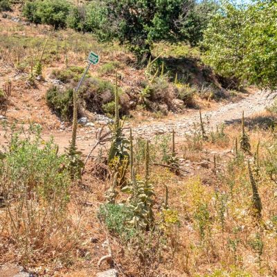 Cosa vedere a Creta Sud