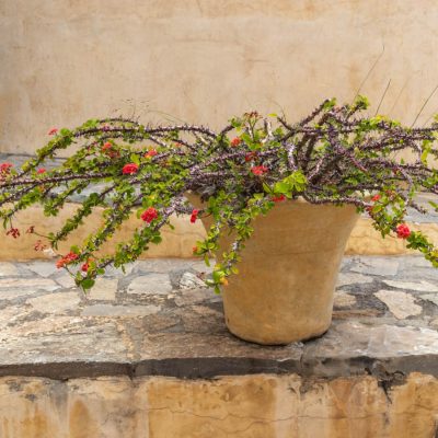 Cosa vedere a Creta Sud