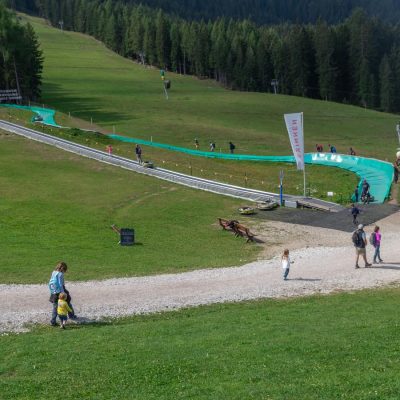 MONTE BARANCI IN ESTATE CON BAMBINI