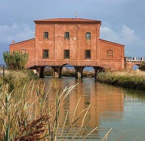 COSA VEDERE IN PROVINCIA DI GROSSETO CON I BAMBINI