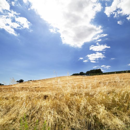 COSA VEDERE IN PROVINCIA DI GROSSETO CON I BAMBINI